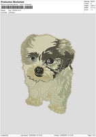 dog 110523b