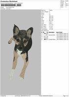 Dog 290425 Embroidery File