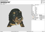 Dog 2912 Embroidery File 6 sizes