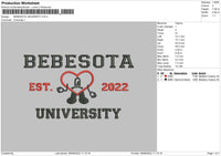 Bebesota University