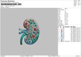 Kidney Color Embroidery File 6 sizes